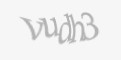 Защитный код