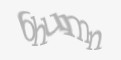 Защитный код