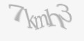Защитный код