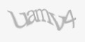 Защитный код