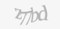 Защитный код